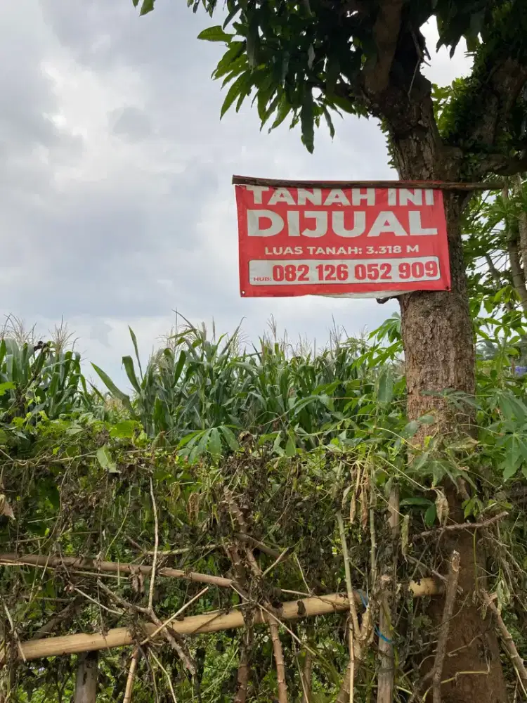 Dijual kebun/tanah