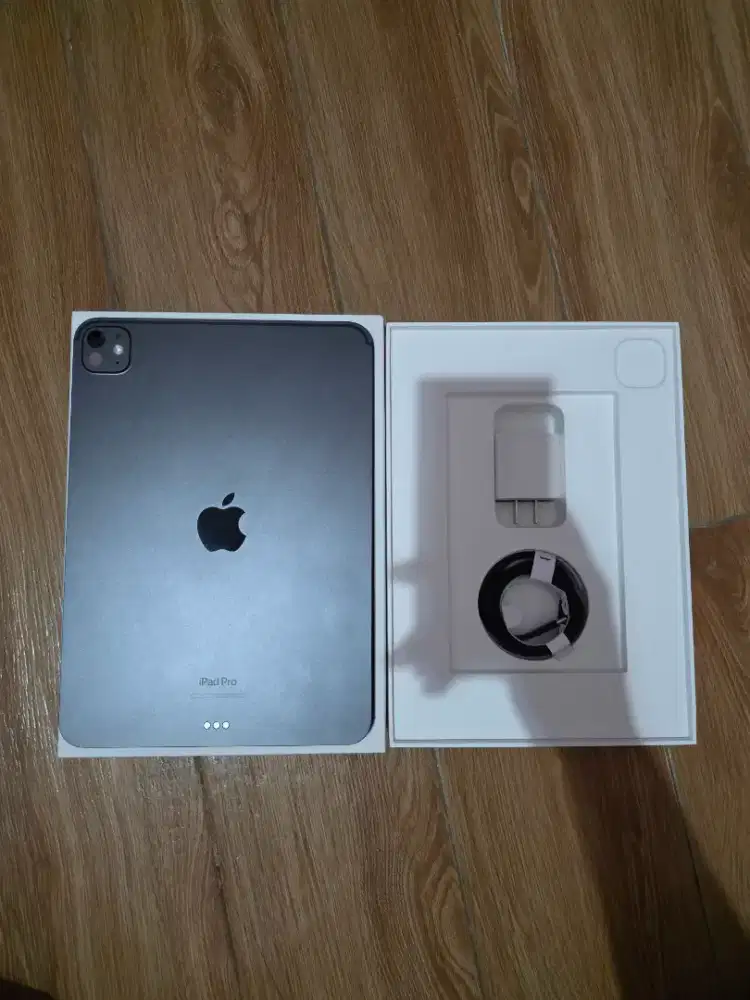 Ipad pro 11 m4 256gb