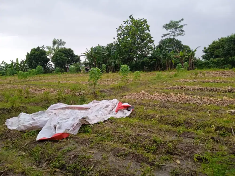 DIJUAL CEPAT: TANAH PEKARANGAN LUAS & STRATEGIS DI KENDAL