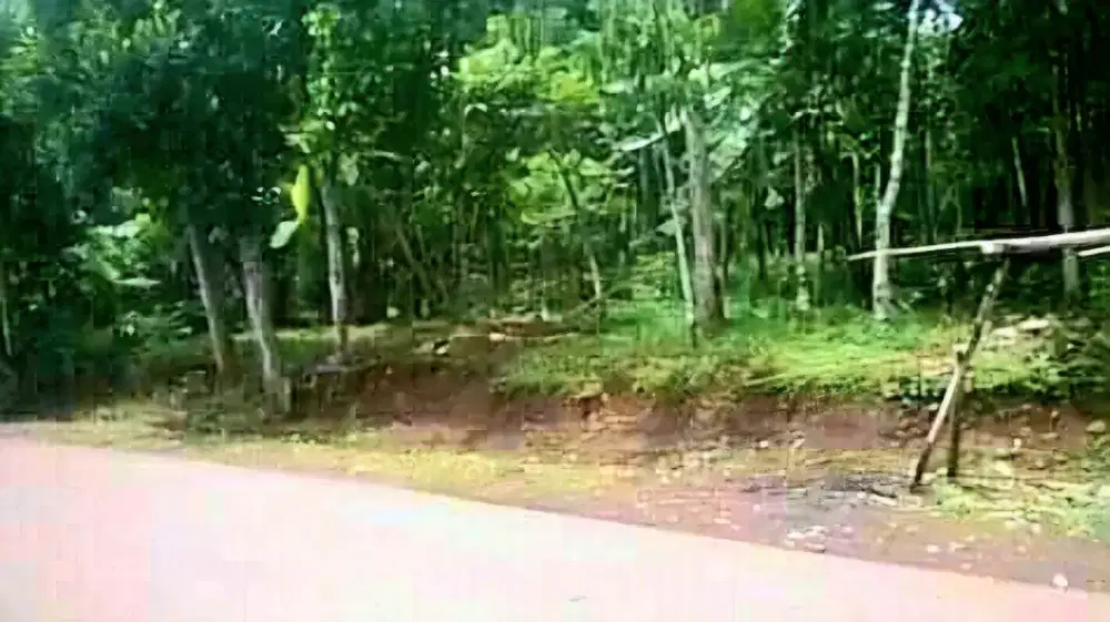 Dijual tanah strategis akses jalan raya Garut-Tasikmalaya