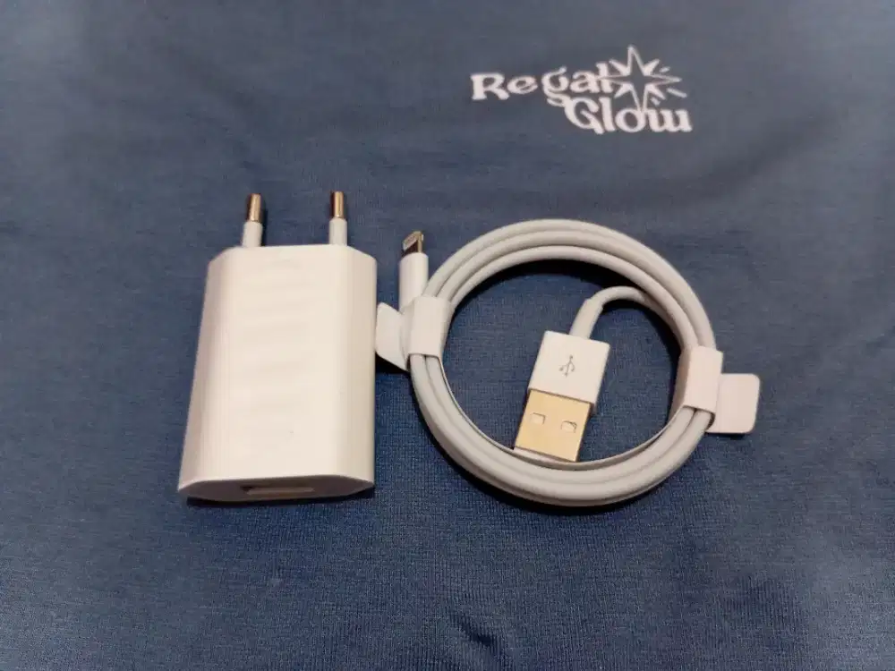 Charger Ori Copotan Iphone X ex ibox