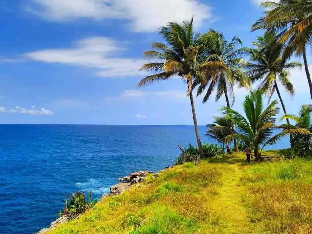 jual tanah pantai Pacitan view abadi