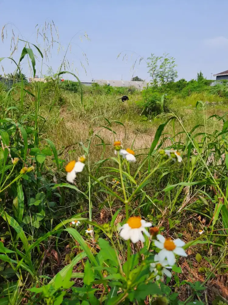 Galian basement hotmix aspal jalan bongkar bangunan beton