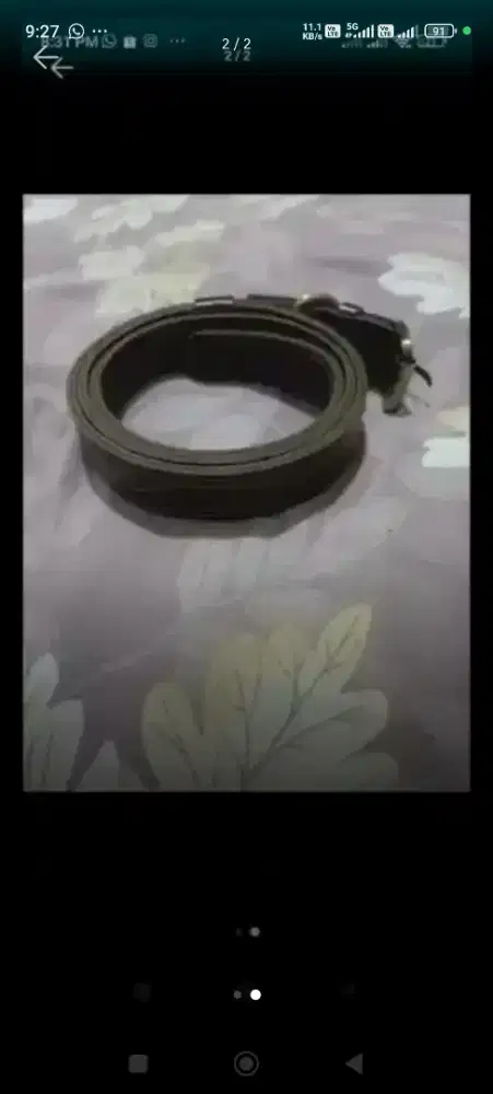 Jual Collar Anjing Size Besar Malamute Saint Bernard Tibetan Mastiff