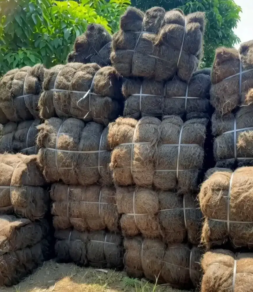 Supplier Ijuk Resapan - Langsung dari Pengepul.