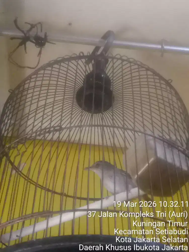 Edisi ngurangin momongan