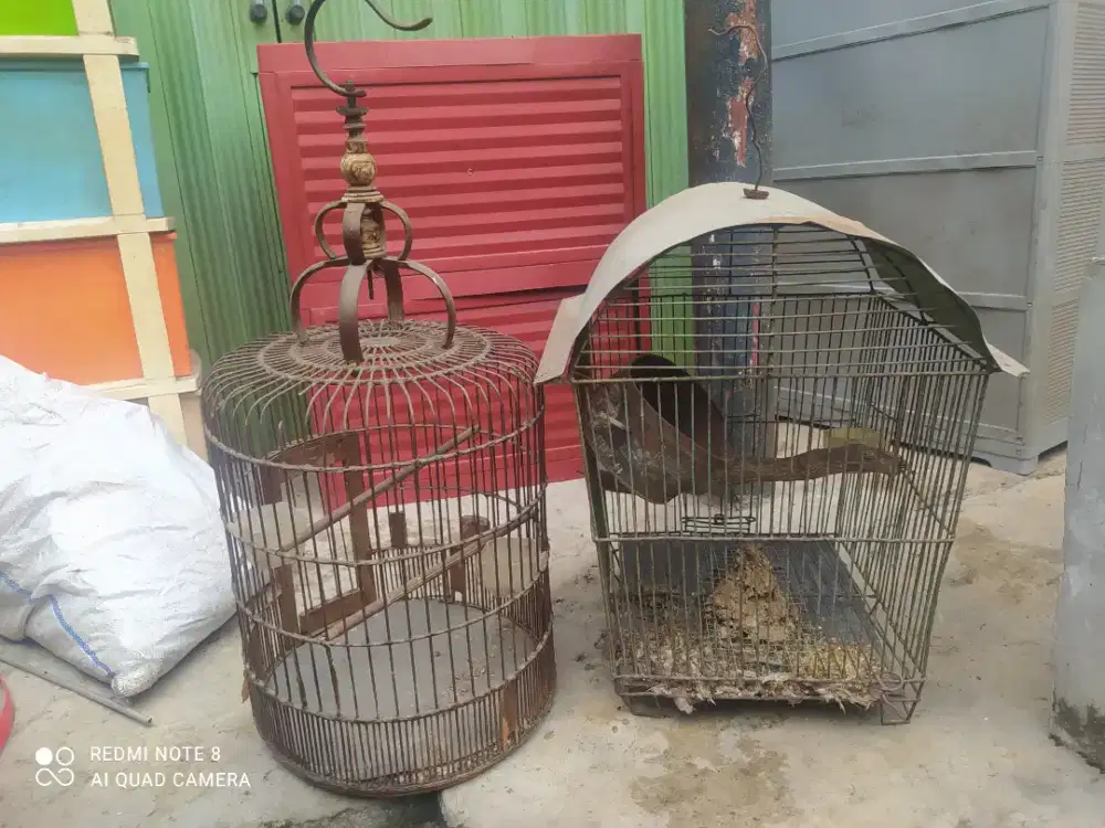 Kandang besi sama kandang kayu