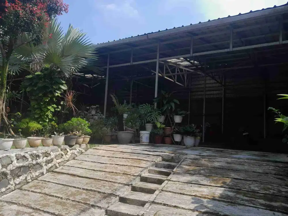 Disewakan lahan bisa untuk MBG