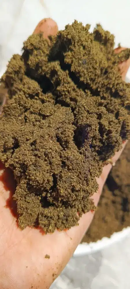 Ampas kacang ihijau nestle