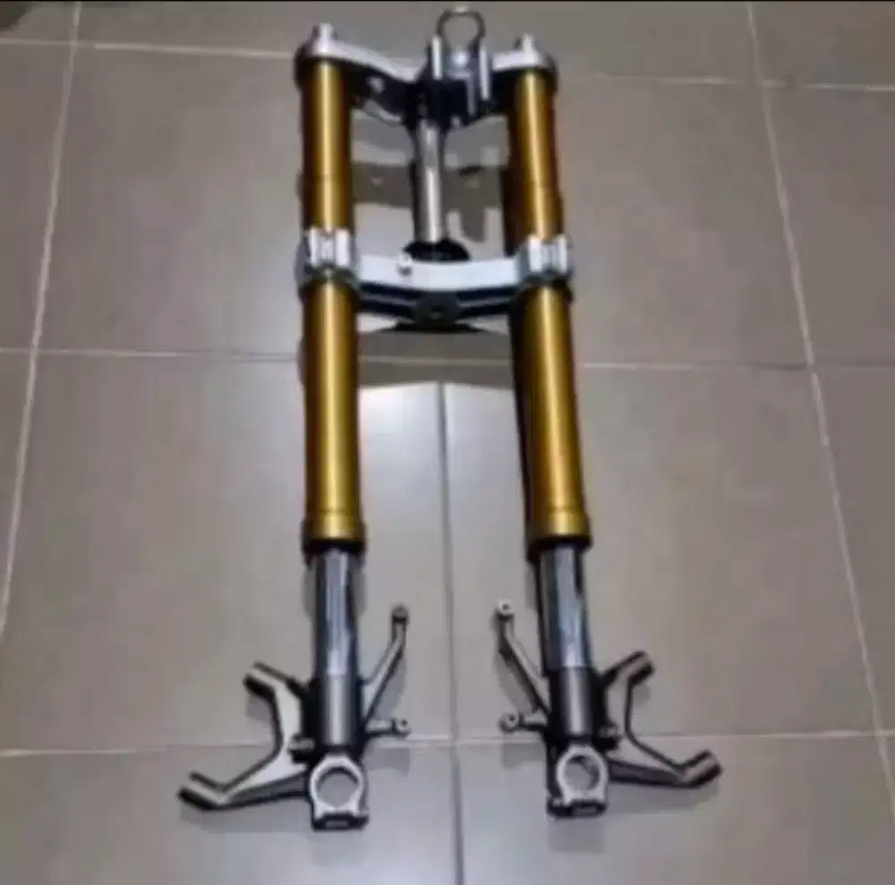 Limbah Moge Upside-down Moge Kawasaki ZX6R double disk