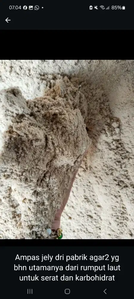 Ampas jelly inaco (rumput laut)