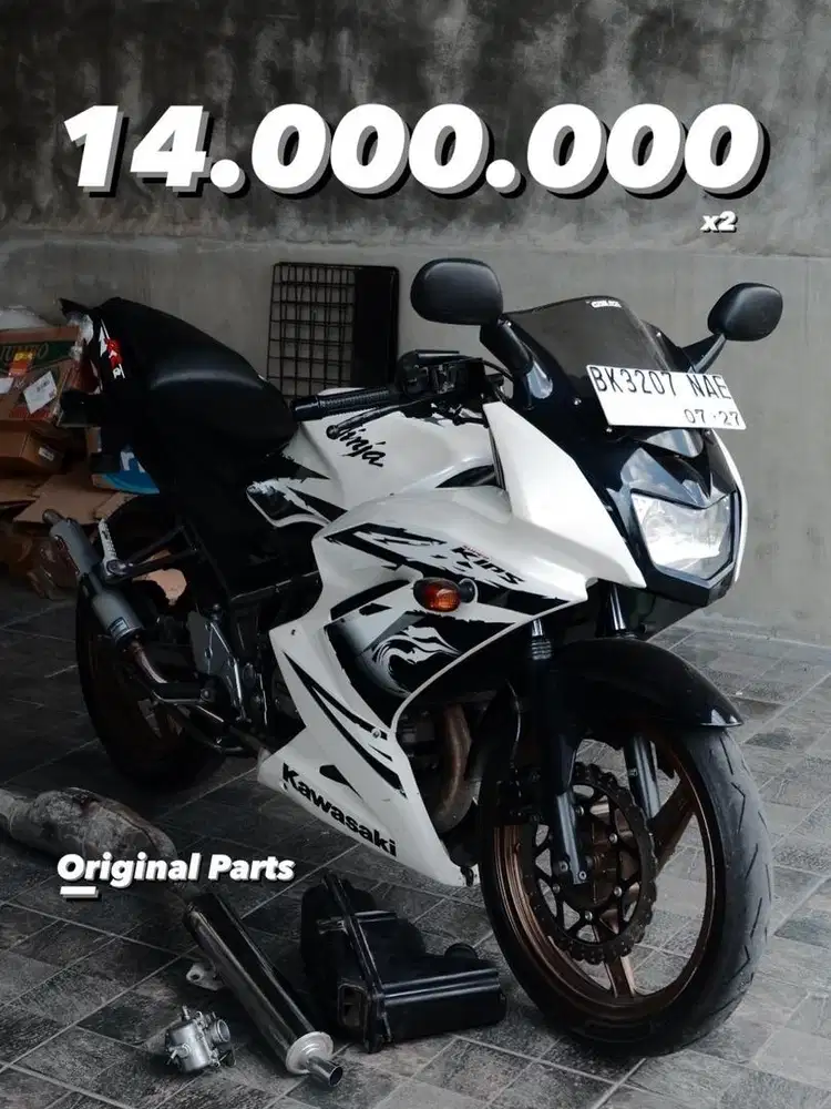 Ninja RR NEW Mentah original