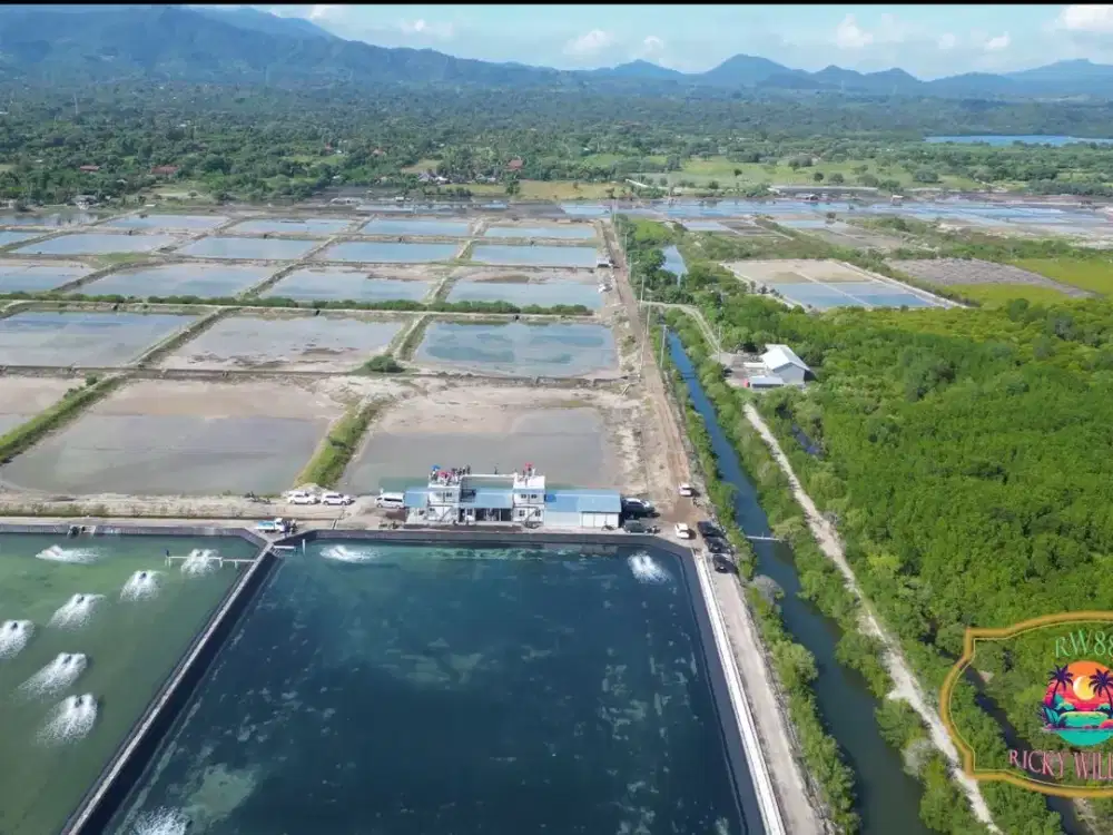 Tanah Dijual di Buleleng, Bali