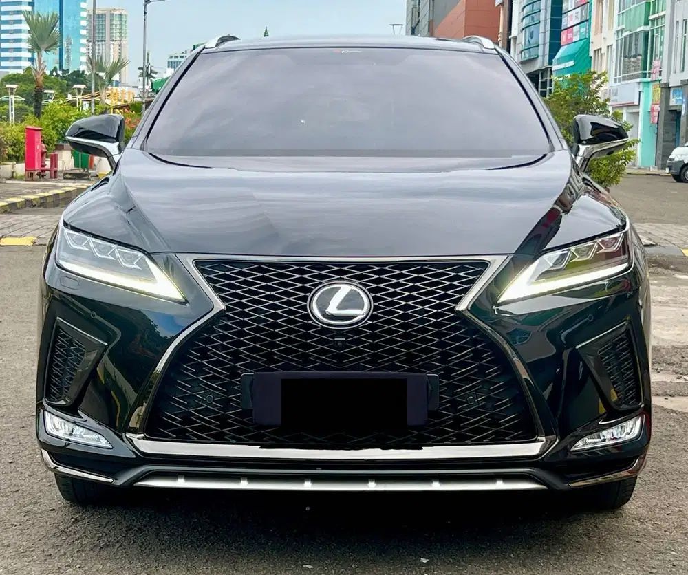 LEXUS RX300 F-SPORT AT TAHUN 2020