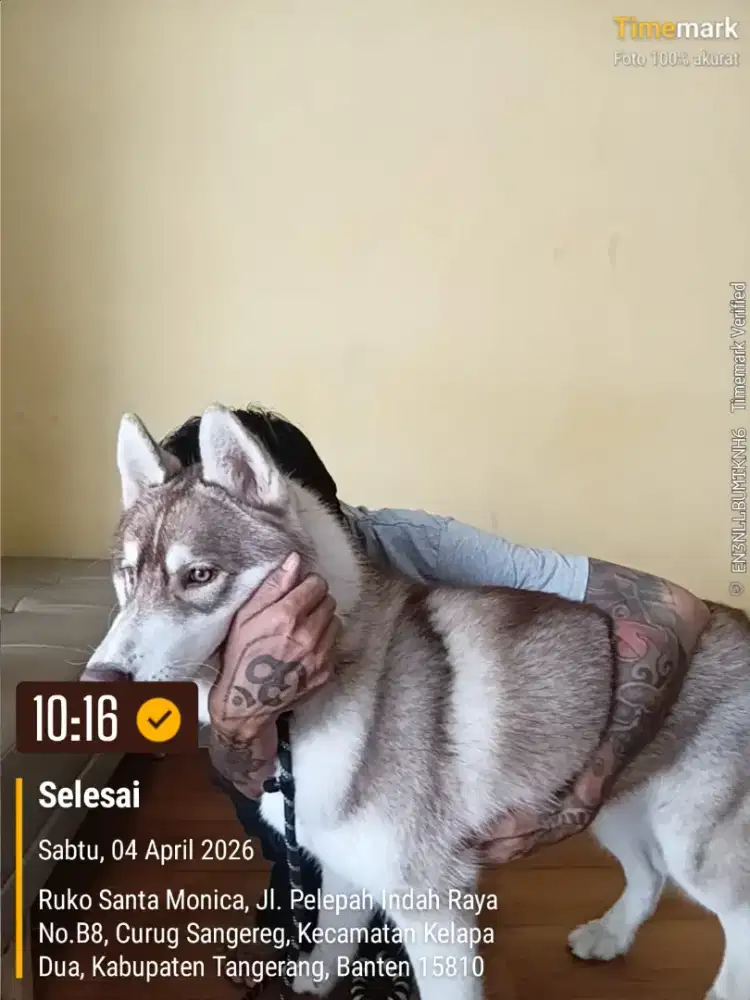 Lowongan Front office / admin klinik hewan