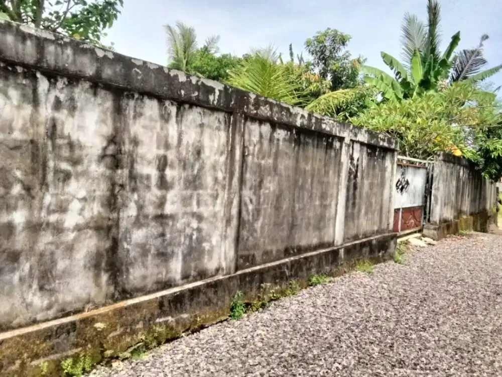 3 Are Dekat Jalan Utama Sudah Pagar Keliling Tersedia Sumur Bor, Listrik di Pering Gianyar