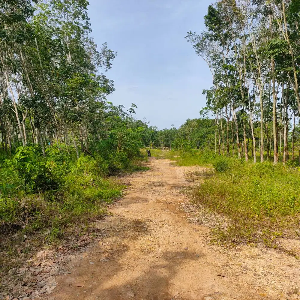 KAVLING RUMAH KAMPUS ITERA CALON BANDAR LAMPUNG DP MURAH BISA DICICIL