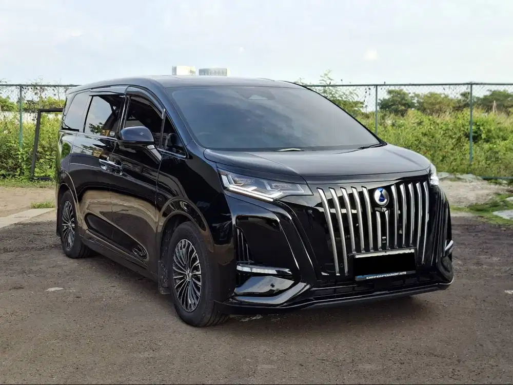 DENZA D9 2025 LOW KM 15RB