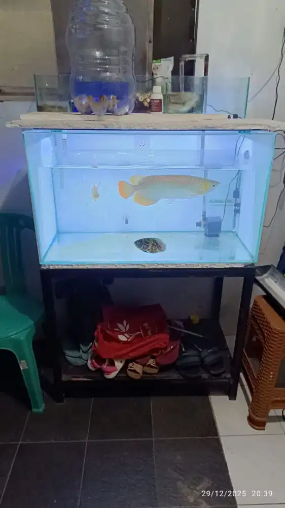 Jual aquarium 90x50x50 plus arwana SR