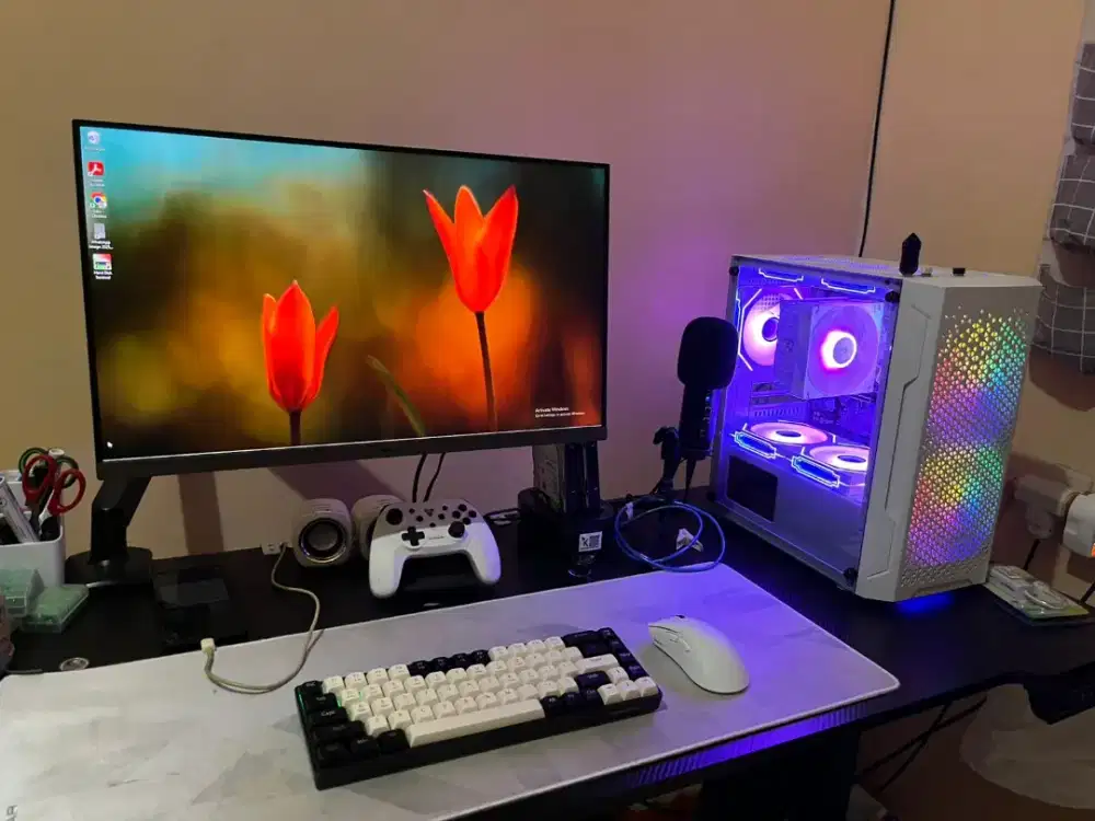 Samsung 24 in 100 Hz + bracket oximus