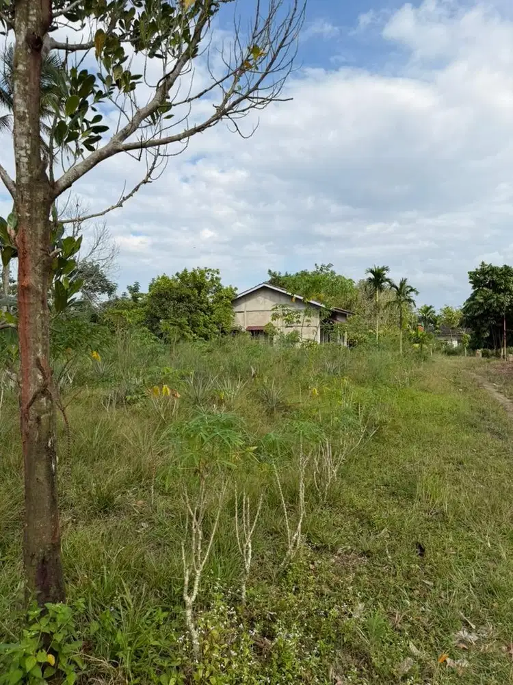 Dijual Tanah dan Bangunan SHM Siap Huni, Luas 977 m3– 3 KT 2 KM