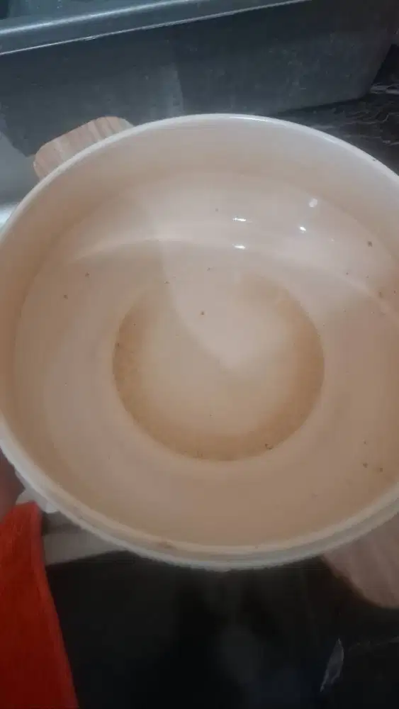 Kukusan listrik bekas