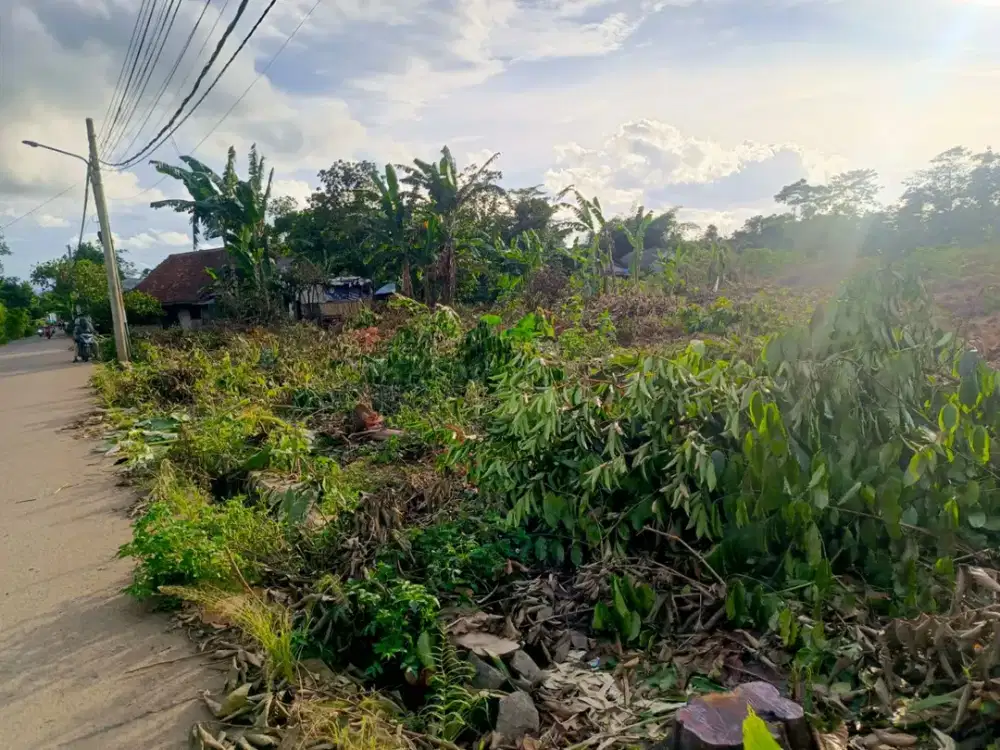 Tanah Kavling Cisauk Dekat Stasiun Jatake - SHM 1Jtan/M - 10 Menit Tol Legok