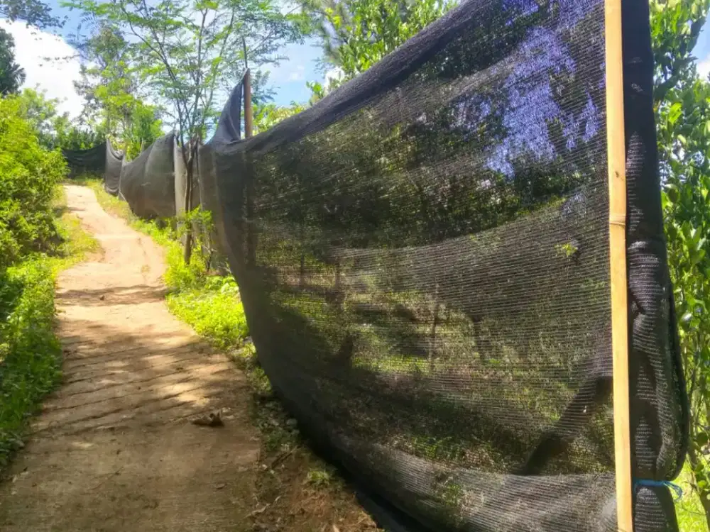 Murah!! Tanah Luas di Cililin sudah SHM, Bandung