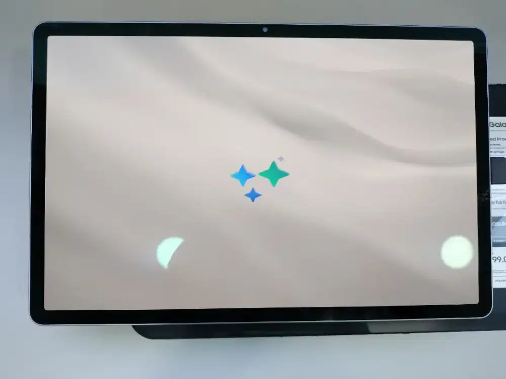 Samsung Galaxy Tab S10+