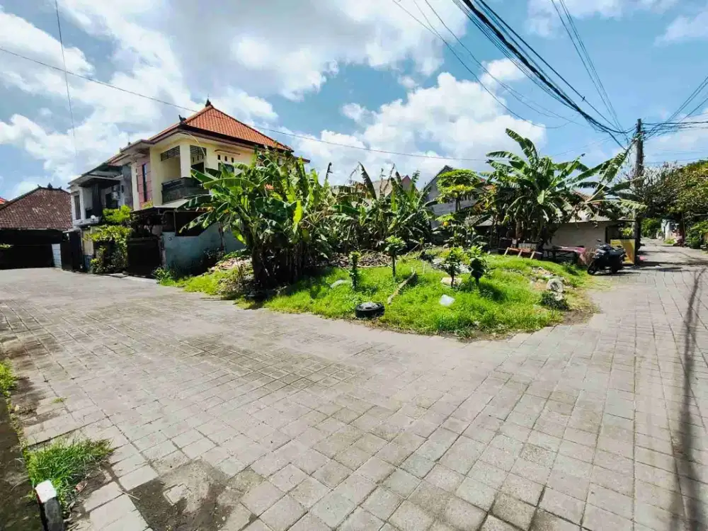 Tanah tukad petanu panjer