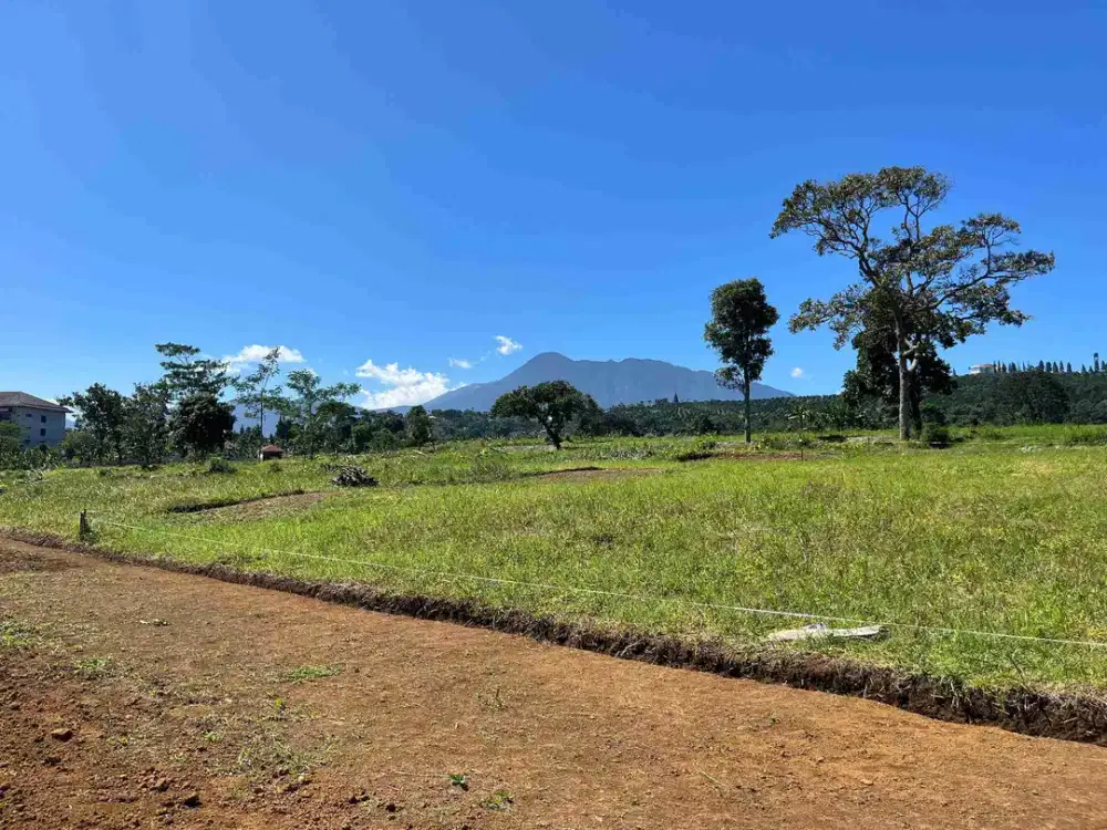 Tanah Puncak Siap Bangun Dekat Jalan Raya Utama Puncak