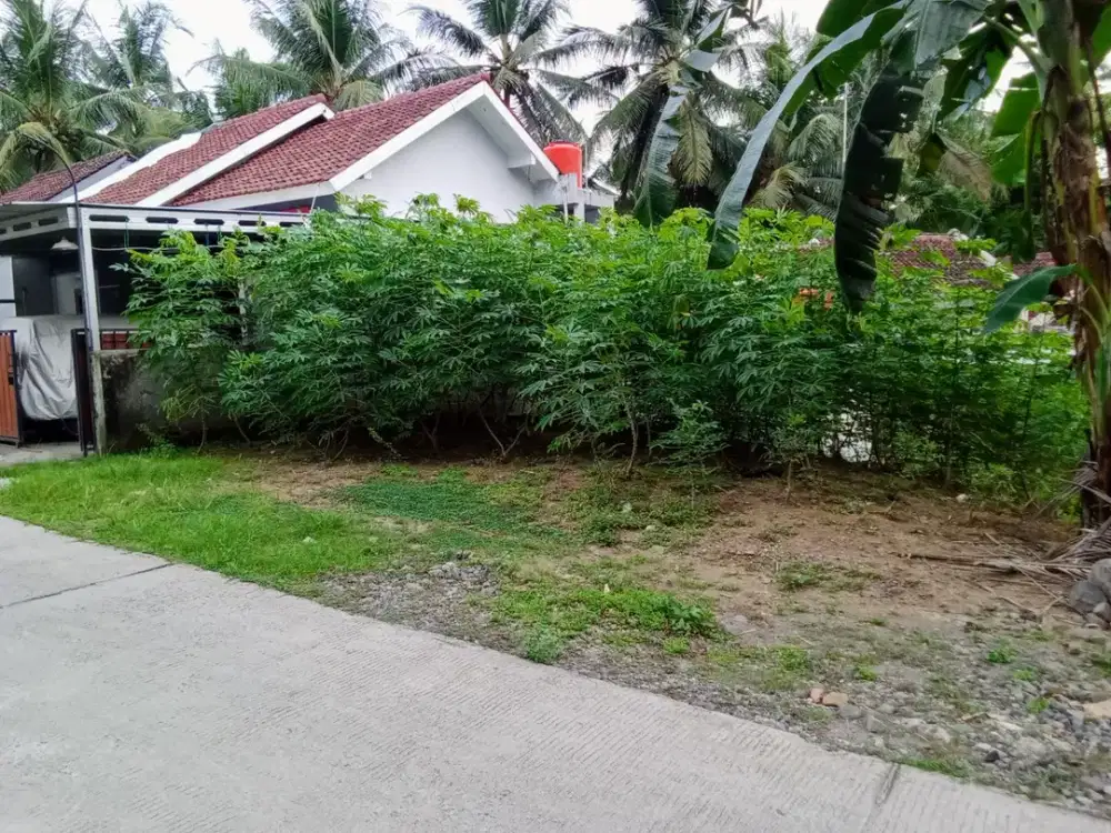 tanah di pengasih dekat wates kulon progo yogyakarta