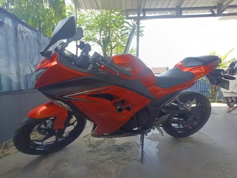 Kawasaki ninja 250