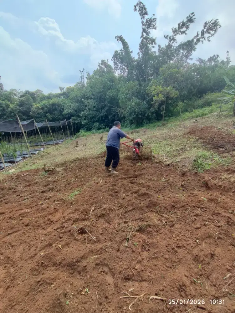 Buruh tani  area Curug Bitung