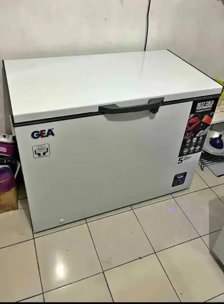Preezer GEA kapasitas 300liter