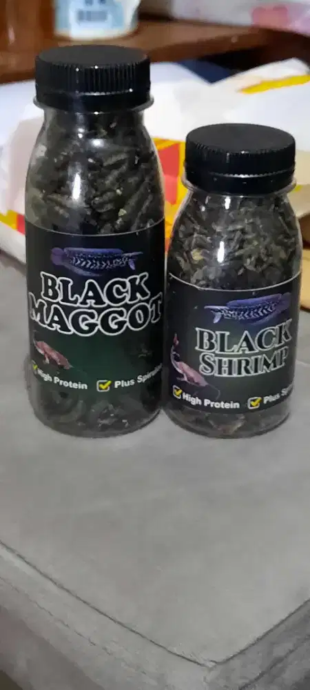 Makanan Channa asiatica ws