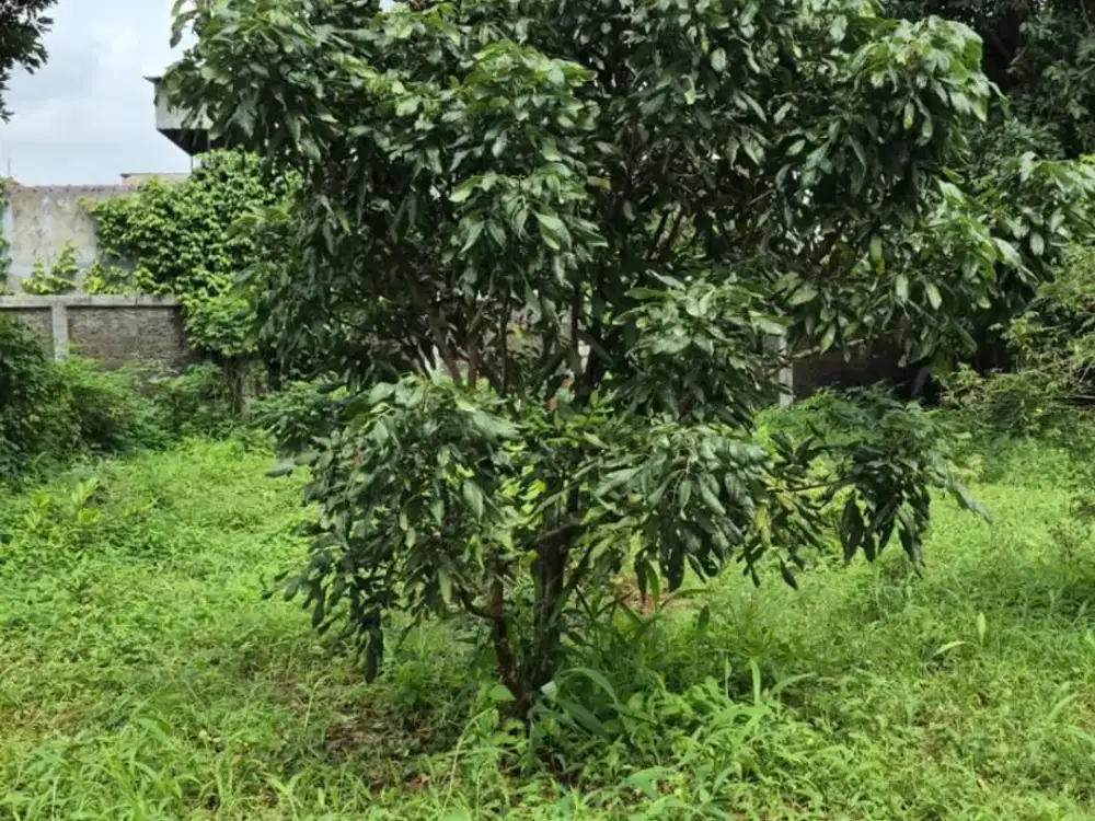 Tanah Strategis Bintara Bekasi – 2.592m² Siap Bangun, Cocok untuk Cluster!