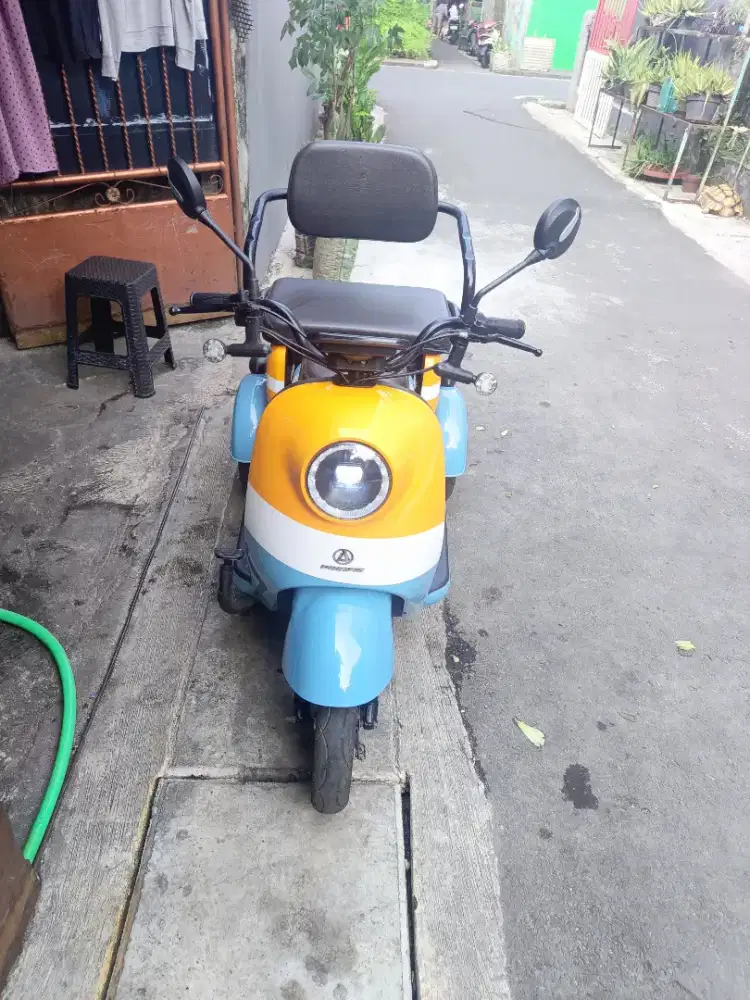 Sepeda Listrik Pasific Maksimus Roda 3