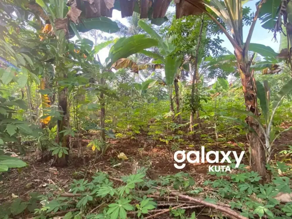 DIJUAL TANAH DI CIKEMBAR SUKABUMI