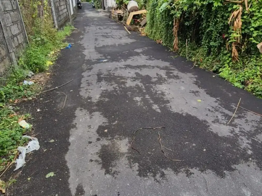 Jual Tanah Lokasi Di Jln. Sedap Malam Denpasar Timur Bali. Dekat Ke Sanur , Plaza Renon , Hangtuah,