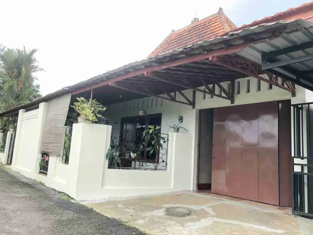 Jual Rumah Jawa Non Perum Karanggintung Dekat Kopi Keprok