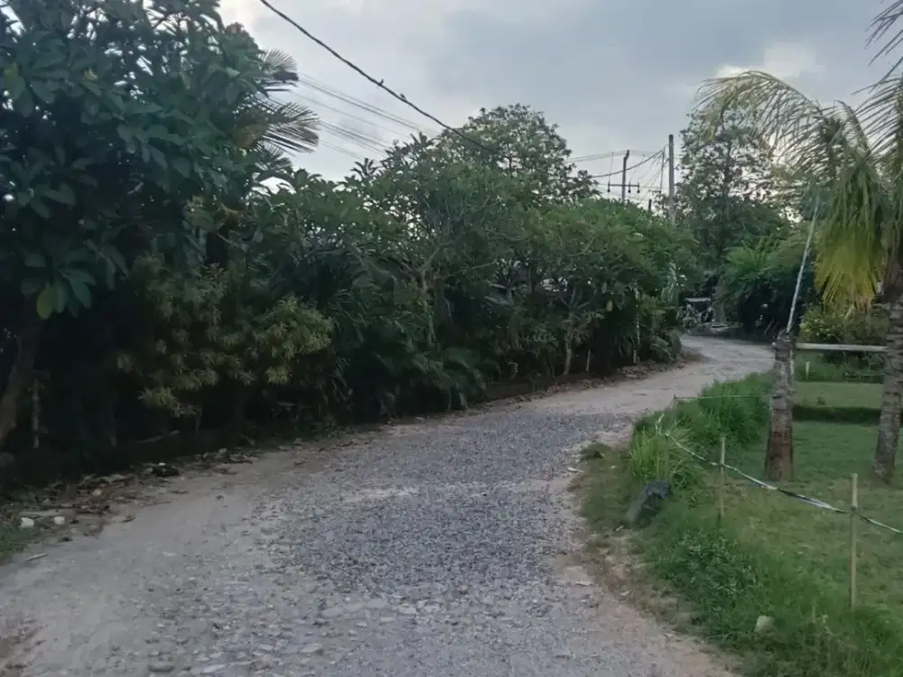 Jual Tanah Di Jln. Sedap Malam Denpasar Bali. Dekat Ke Sanur Bali, Plaza Renon,