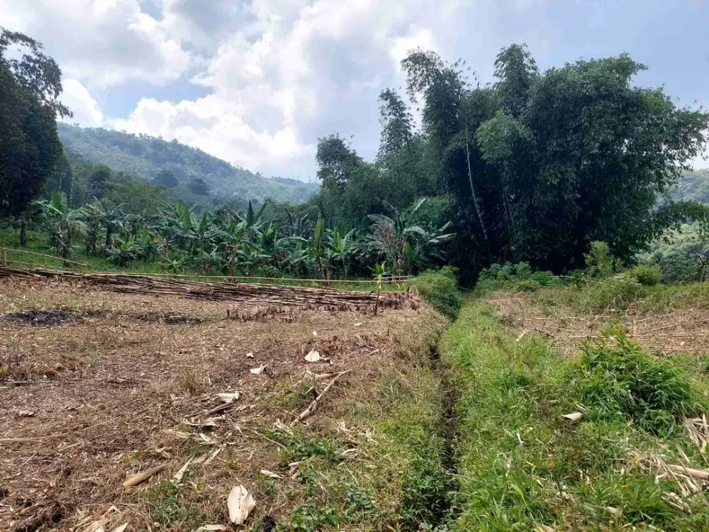 Tanah 190 tumbak, babakan peuteuy beor jual murah
