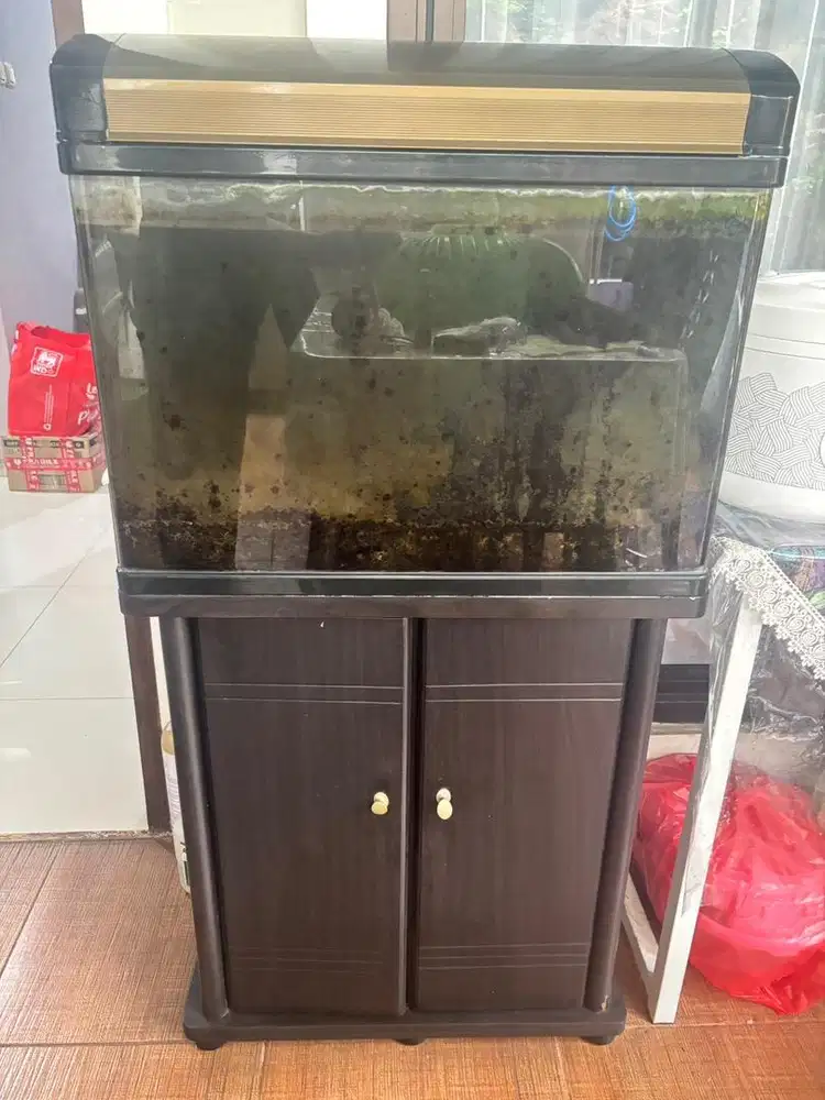 Jual Cepat Aquarium Ace Hardware