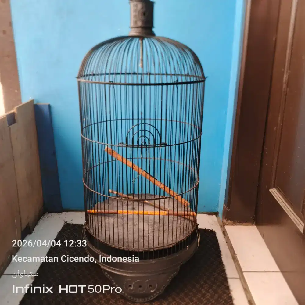 Sangkar lb Ebod jaya feat dragon