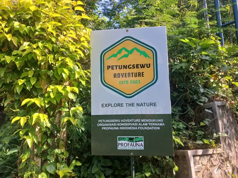 Lowongan Sopir Pribadi di Dau Malang