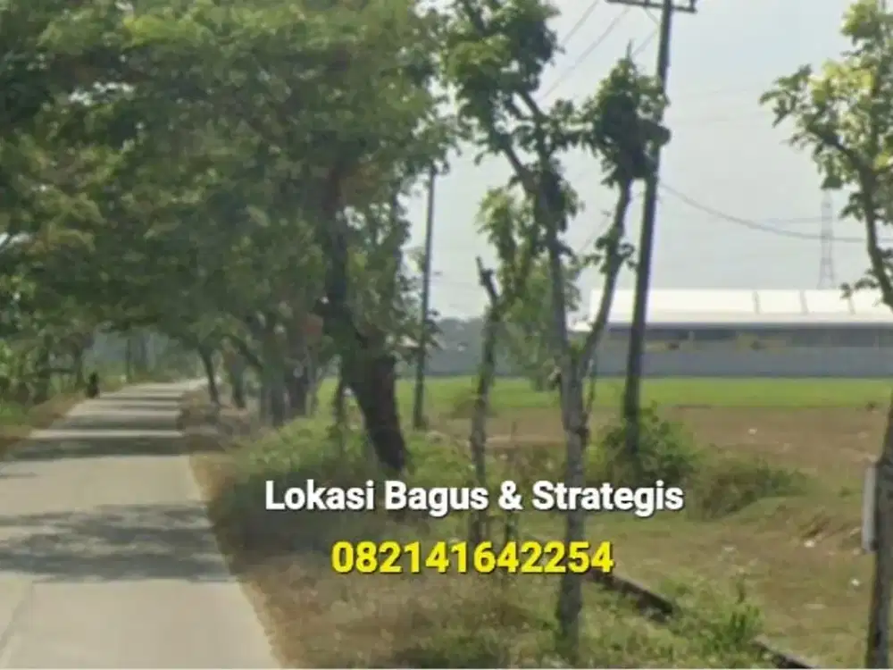 JUAL, Tanah KPI (Kawasan Peruntukan Industri) Caruban, Lokasi Baguss