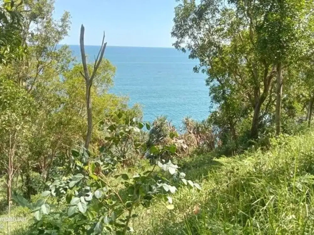 Dijual Tanah Tegalan Lokasi Strategis di Kawasan Wisata Tepus - Gunung Kidul