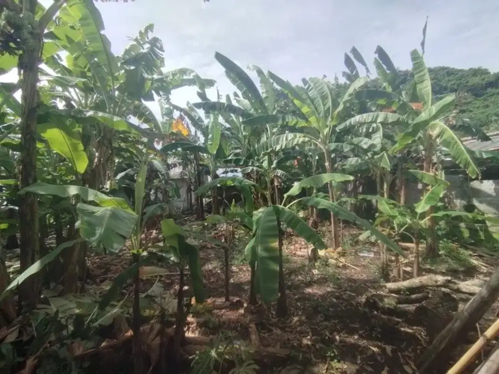 Tanah Pekarangan Premium di Prambanan Klaten - Siap Bangun