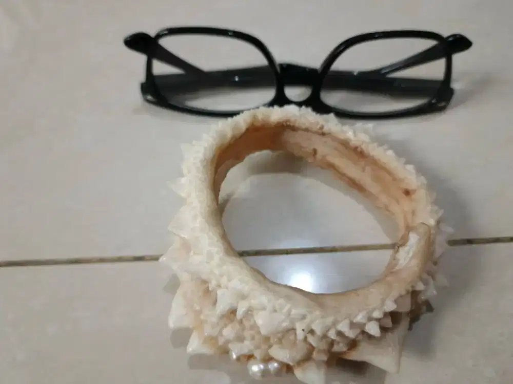 SGT LANGKA, MANCING : PUNGGUNG DURI IKAN PARI GITAR (HMPR PUNAH)